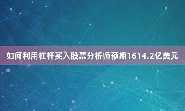 如何利用杠杆买入股票分析师预期1614.2亿美元