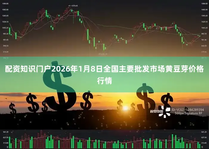 配资知识门户2026年1月8日全国主要批发市场黄豆芽价格行情