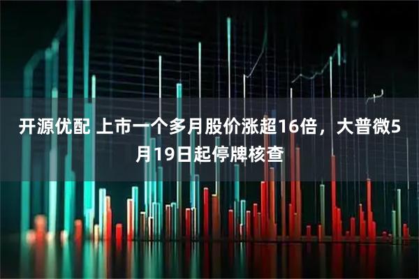 开源优配 上市一个多月股价涨超16倍，大普微5月19日起停牌核查