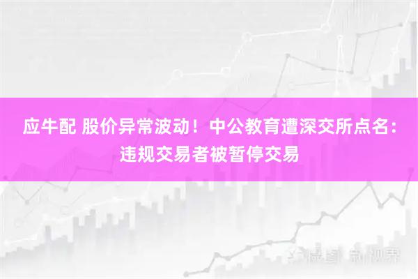 应牛配 股价异常波动!中公教育遭深交所点名:违规交易者被暂停交易