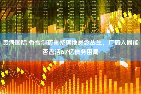 贵海国际 香雪制药重整落地悬念丛生,广药入局能否盘活67亿债务困局